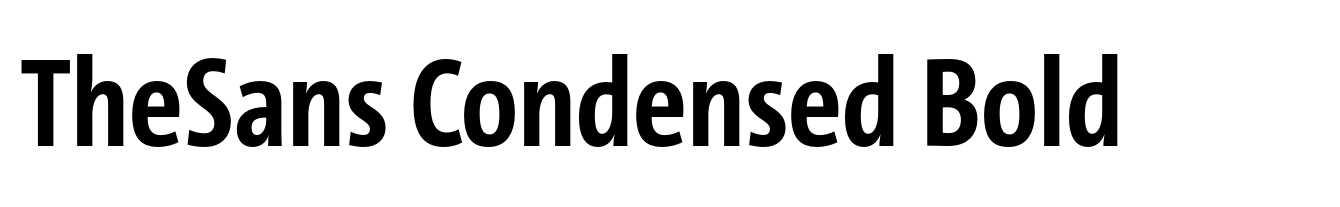 TheSans Condensed Bold